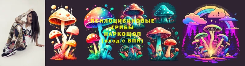 Галлюциногенные грибы Psilocybe  где можно купить наркотик  Аткарск 